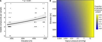 Effect of Altitude on Volatile Organic and Phenolic Compounds of Artemisia brevifolia Wall ex Dc. From the Western Himalayas